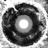 Bastards Of Fate - Suck The Light Out - Rock - LP