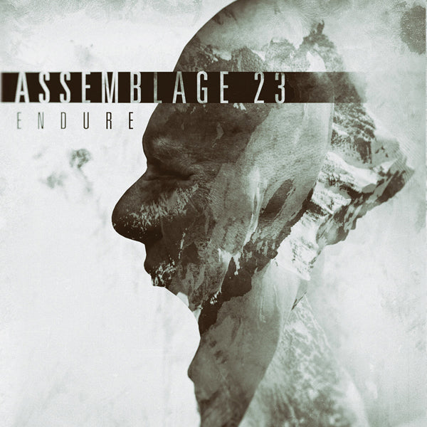 Assemblage 23 - Endure - Electronic - CD