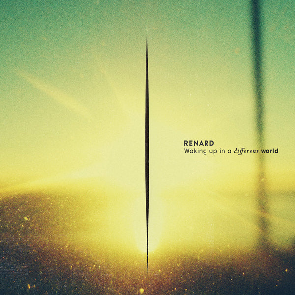 Renard - Waking Up In A Different World - Electronic - LP
