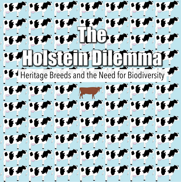Feature Film - The Holstein Dilemma - Film/TV/Character - DVD