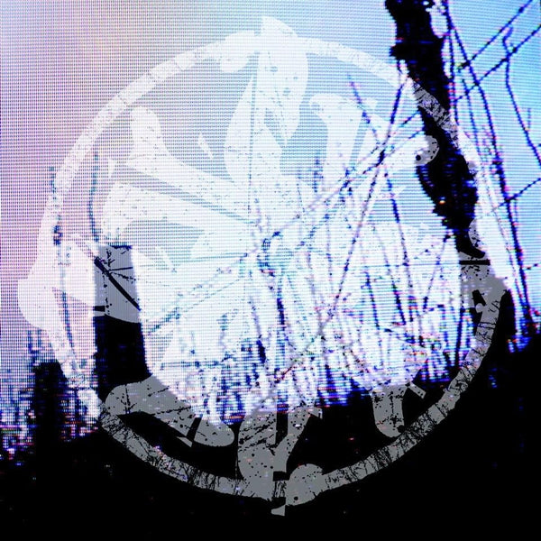 Rot In Hell - A Thick Rope & A Strong Branch - Hardcore - DCD