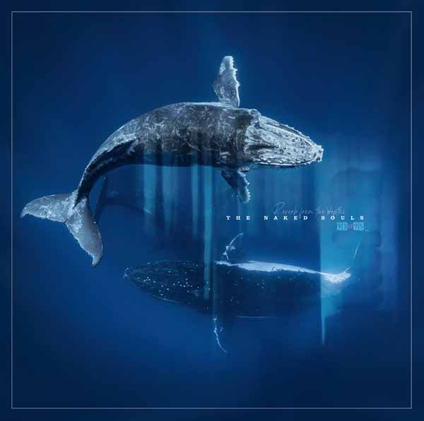 Naked Souls, The - Reverb From The Depths - Punk - LP