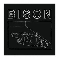 Bison - One Thousand Needles - Stoner Metal/Rock - CD
