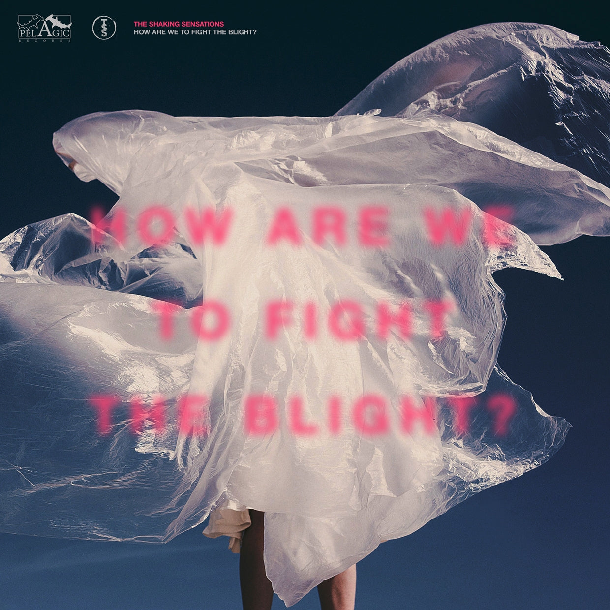 Shaking Sensations, The - How Are We To Fight The Blight? - Rock - DLP