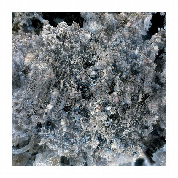 Horte - Maa Antaa Yon Vaientaa - Rock - CD