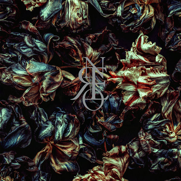 Crone - Gotta Light? - Rock - CD