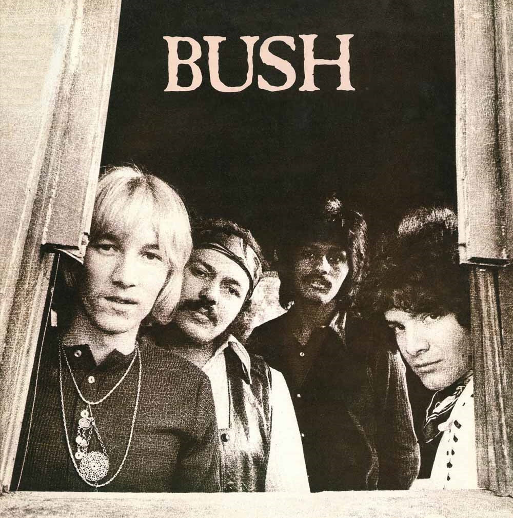 Bush - Bush - Rock - CD
