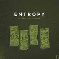 Entropy - All Work, No Plagiarism - Punk - LP