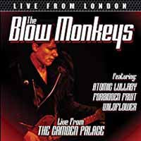 Blow Monkeys, The - Live From London - Pop - DVD