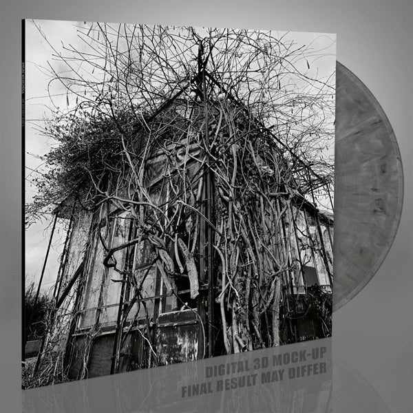 Impure Wilhelmina - Dead Decades (Ltd.Silver Vinyl) - Hardcore - LP