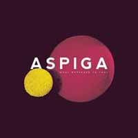 Aspiga - What Happened To You - Punk - CD