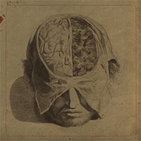 Farsot - Insects - Black Metal - CD