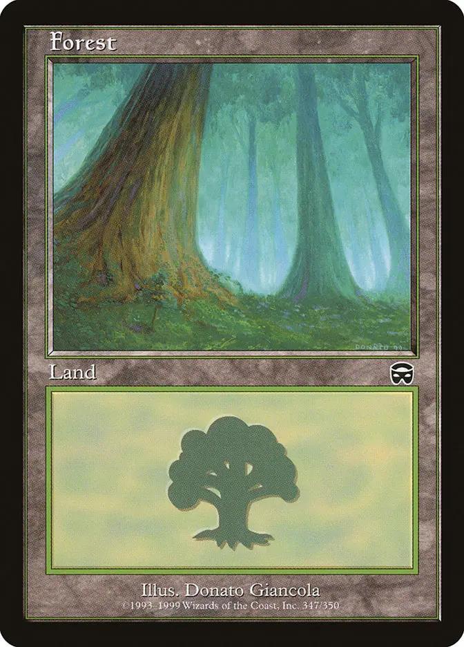 347 - Forest - Mercadian Masques - Normal - Magic: The Gathering Card