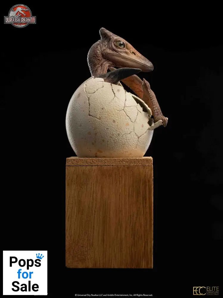 Jurassic Park ECC Elite Creature Line Statue 1/2 Pterosaur Hatching 16 cm
