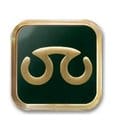 Final Fantasy XIV Job Pinback Button Scholar
