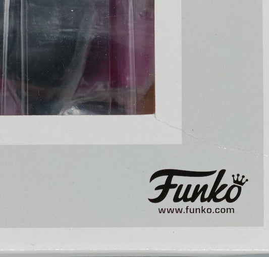 23 Skeletor with Snake Mountain - Town Masters Of The Universe Box Damaged Funko POP