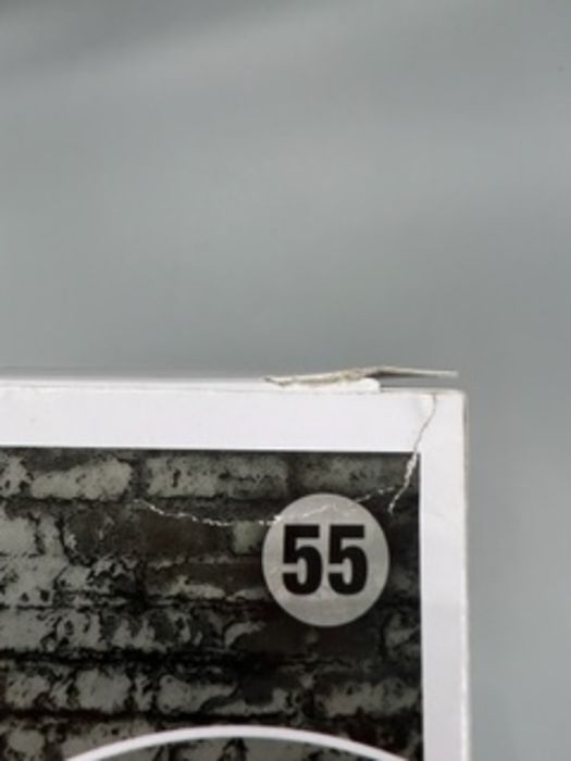 55 Joey Ramone - Rocks - Ramones - Box Damaged Funko POP