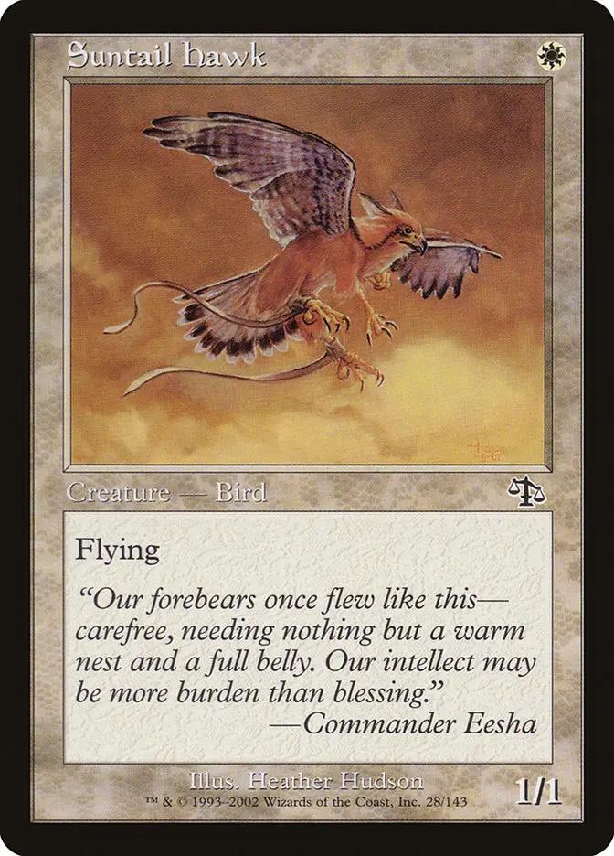 28 - Suntail Hawk - Judgment - Normal - Magic: The Gathering Card