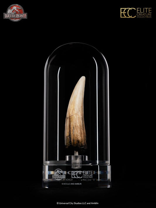 Jurassic Park III Prop Replica 1/1 Spinosaurus Tooth 14 cm Elite Creature Collectibles