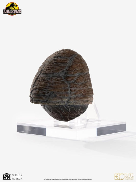 Jurassic Park 1/1 Replica Triceratops Toenail 16 cm