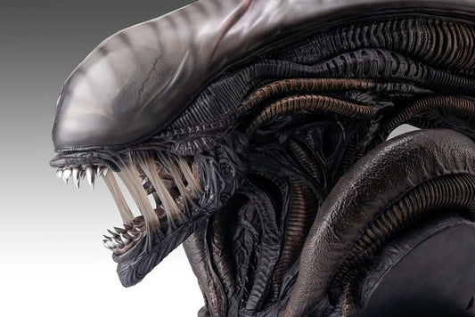 Alien Romulus Bust 1/1 Xenomorph 53 cm Hollywood Collectibles Group