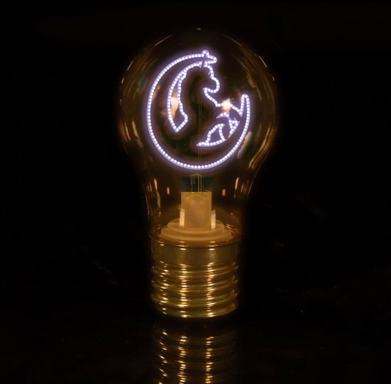 Unicorn Academy LED Bulb Lights Assortment (12) Lamps / Lights