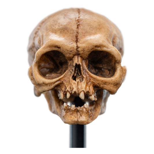 Lord of the Rings Mini Statue Skull of Gollum 13 cm
