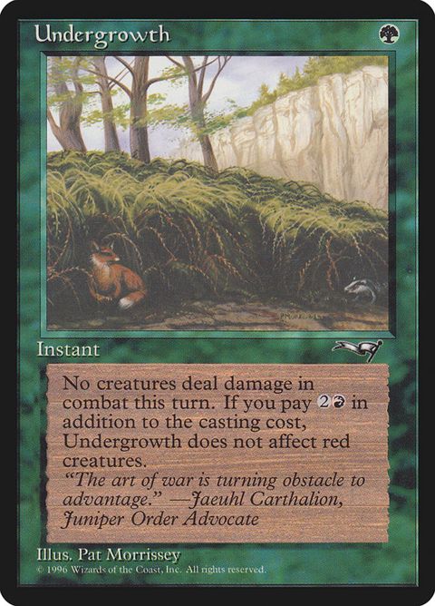 102b-undergrowth
