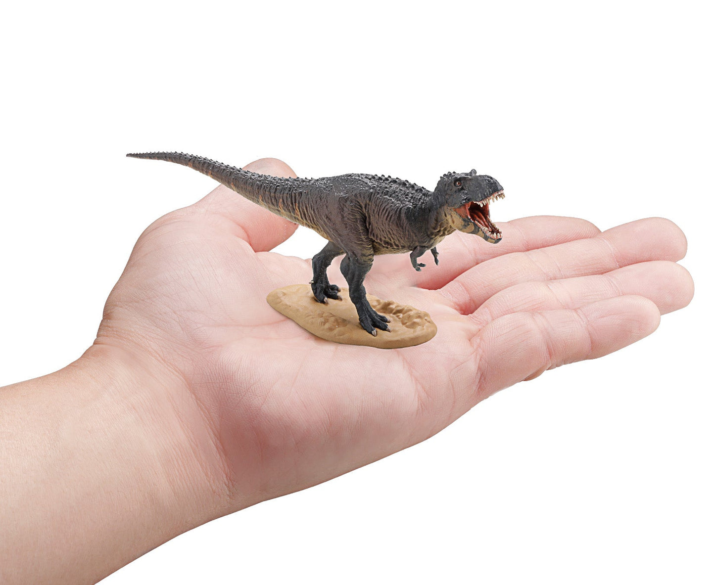 Mini Figures Dinosaur Master 3 Vinyl Figure