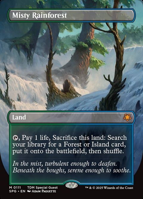 111-mistyrainforest