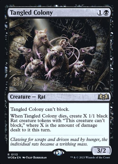 113s-tangledcolony