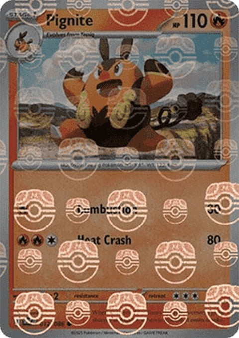 12-pignite-masterballpattern