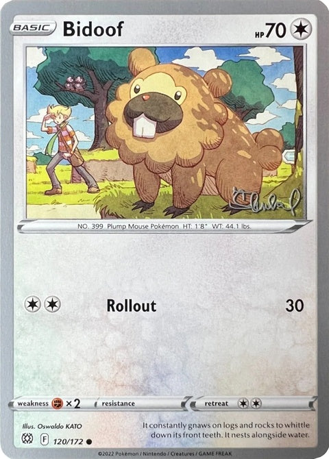 120-bidoof-ondrejskubal