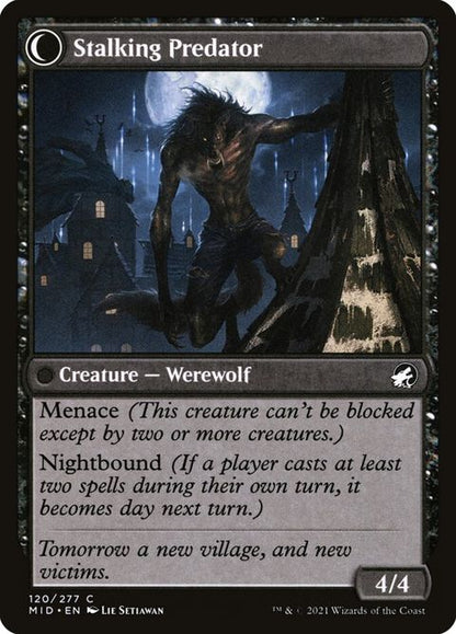 120-shadytravelerstalkingpredator-b