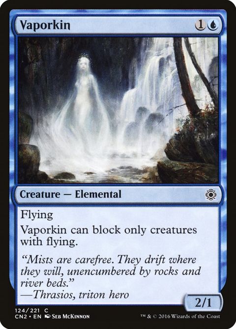 124-vaporkin