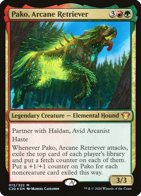13-pakoarcaneretriever