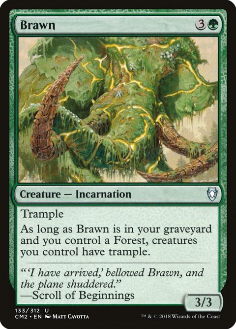 133-brawn