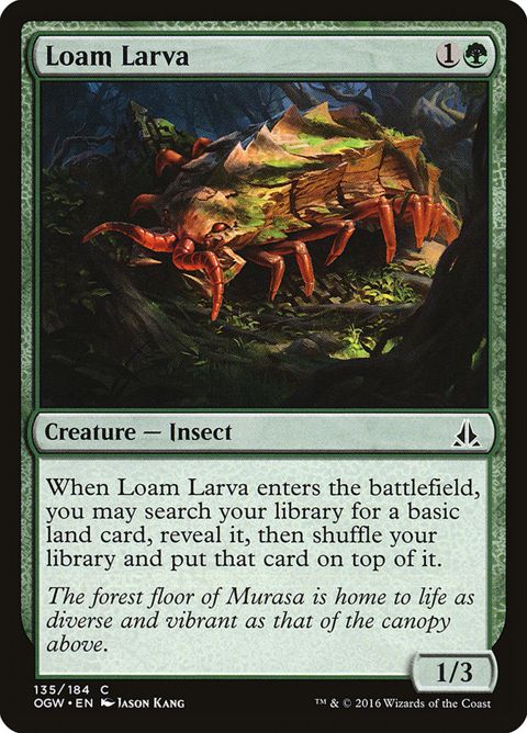 135-loamlarva