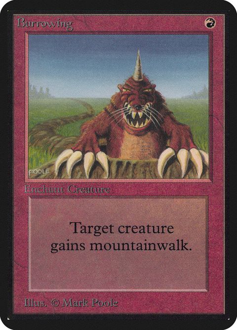 138-burrowing