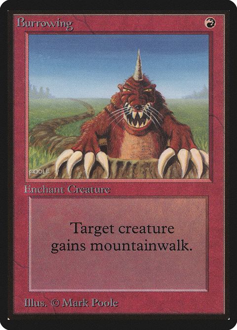139-burrowing