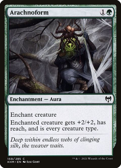 159-arachnoform