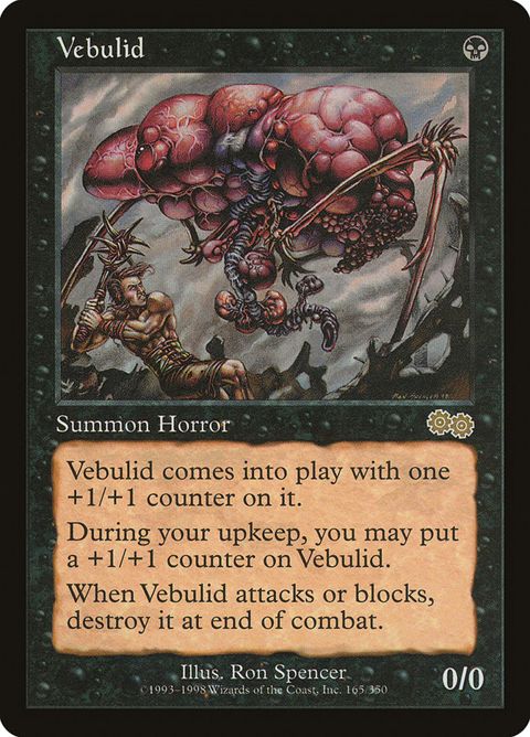 165-vebulid