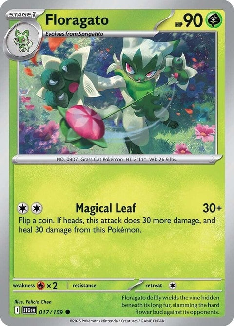 17-floragato