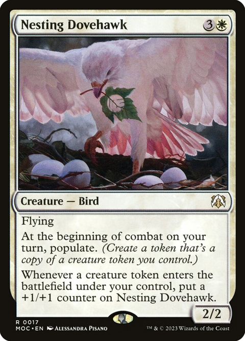 17-nestingdovehawk