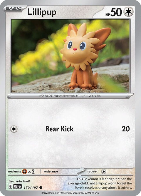 170-lillipup