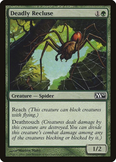 175-deadlyrecluse