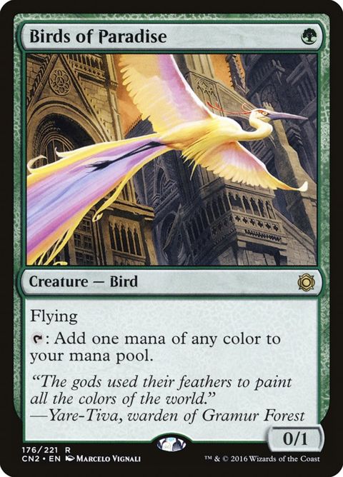176-birdsofparadise
