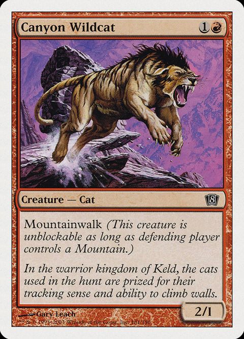 181-canyonwildcat