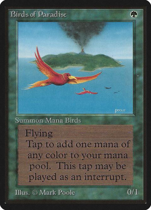 187-birdsofparadise