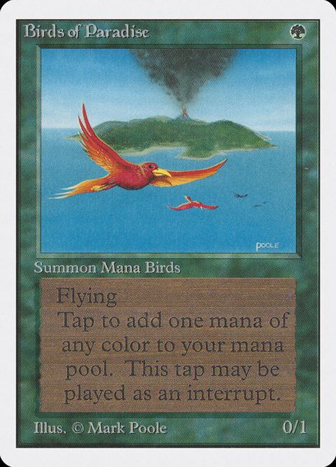 187-birdsofparadise